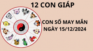 Tử vi ngày 15/12 con số may mắn mang cơn mưa vàng tài lộc do tổ tiên phù trợ cho 12 con giáp