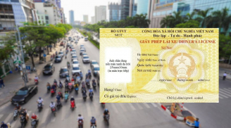 Từ 1/1/2025, giấy phép lái xe bị thu hồi, không có hiệu lực trong trường hợp nào?