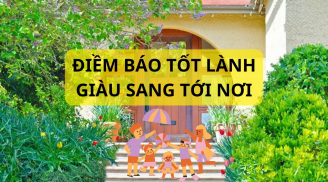 Từ nay tới Tết có vị khách này tới nhà, chúc mừng gia chủ sắp giàu có, năm mới thu hút vàng bạc