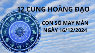 Tử vi ngày 16/12 con số may mắn trời ban lộc cuối năm cho 12 chòm sao nhanh chân đạp trúng hố vàng