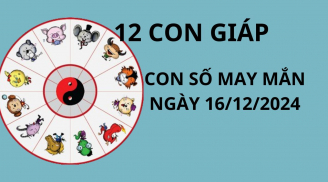 Tử vi ngày 16/12 thần tài ban tặng con số may mắn cho 12 con giáp nhận lộc cuối năm trở nên giàu có