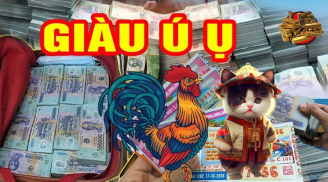 Nửa cuối tháng 1/2025: 3 con giáp chuyển mình ngoạn mục, 1 tuổi thăng chức tăng lương gấp đôi