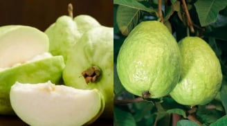 Ổi sần sùi hay trơn nhẵn mới ngon? Bí quyết chọn ổi ngọt lịm, giòn tan ai cũng mê