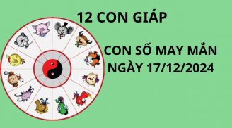 Tử vi ngày 17/12 con số may mắn tổ tiên 'độ' cho 12 con giáp hốt trọn lộc trời giàu có bất ngờ