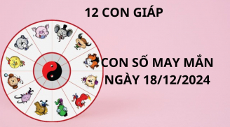 Tử vi ngày 18/12 con số may mắn số vàng tài lộc từ tổ tiên cho 12 con giáp, ai nhanh thì phát tài