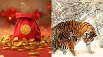 Sau ngày 20/12, trong vòng 40 ngày: 4 con giáp quý nhân phù trợ tứ phía, lộc rơi trúng đầu