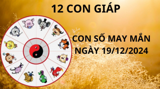 Tử vi ngày 19/12 con số may mắn Thần tài xả kho lộc cho 12 con giáp hứng vàng hứng bạc