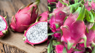 Bỏ túi ngay mẹo chọn thanh long ‘đỉnh của chóp’, đảm bảo ăn một lần là nhớ mãi