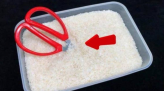 Cắm 1 cây kéo vào thùng gạo, hiệu quả rất tuyệt vời, nhiều người tiếc vì không biết sớm hơn