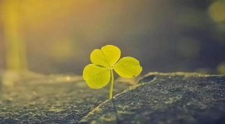 Càng nghèo càng dễ hào phóng: 3 thứ này khiến bạn cả đời không giàu lên nổi