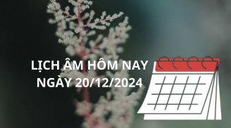 Lịch âm ngày 20/12 một ngày tốt lành nhớ xem ngay giờ tốt xấu để gặp thuận lợi may mắn giàu sang