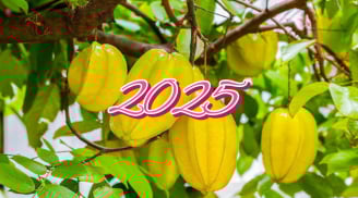 Người thuộc 2 tuổi này trồng cây khế, Ất Tỵ 2025 đổi đời giàu sang vận may đầy nhà vàng bạc đầy tay