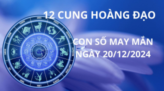 Tử vi ngày 20/12 con số may mắn cho 12 cung hoàng đạo bách chiến bách thắng nhanh chân cán đích giàu có