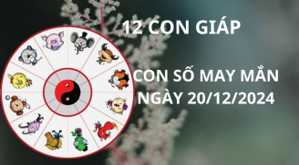 Tử vi ngày 20/12 con số may mắn Thần tài mở ví giúp 12 con giáp chạm tay hũ vàng, đạp chân hố bạc
