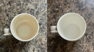 Xóa sạch vết ố vàng của trà, cà phê bám trên cốc lâu ngày chỉ với một món đồ rẻ tiền thần thánh