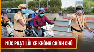 Hết 31/12/2024: Người dân đi xe không chính chủ sẽ bị CSGT phạt 8 triệu đồng, đúng không?