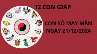 Tử vi ngày 21/12 con số may mắn ơn trên ban cho 12 con giáp trả hết nợ nần đón năm mới giàu sang