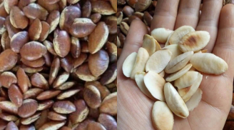 Loại quả ‘bỏ đi’ ngày xưa, nay được dân thành phố săn lùng vì hương vị độc lạ, giá 140.000 đồng/kg