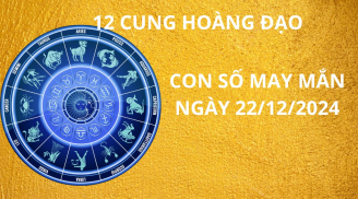 Tử vi ngày 22/12 con số may mắn cho 12 cung hoàng đạo nhận lộc tổ tiên hứng vàng bạc từ trên trời