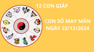 Tử vi ngày 22/12 con số may mắn Phật bà ban tặng giúp 12 con giáp cuối tháng về đích thành công, giàu có