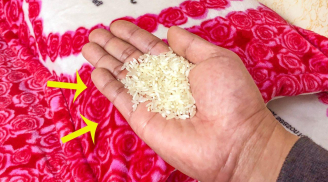 Vì sao nên đặt một nắm gạo dưới gối? Lợi ích bất ngờ, cả nam và nữ đều được hưởng lợi