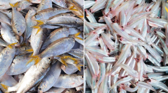 6 loại cá có lượng omega-3 cao không kém cá hồi, giá rẻ lại ngọt thịt, ít xương