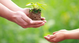 Muốn tăng trưởng các phước huệ, hãy chăm chỉ làm những việc sau