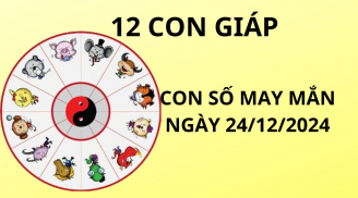 Tử vi ngày 24/12 con số may mắn Phật bà trao cơn mưa vàng tài lộc cho 12 con giáp đổi đời nhờ đây