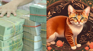 Từ 25/12 tới Tết Âm: 4 con giáp như cỗ máy in tiền, người số 1 cả đời không lo nghèo đói