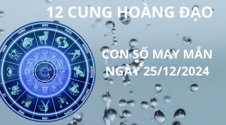 Tử vi ngày 25/12 con số may mắn cho 12 chòm sao nối tiếp dư âm Giáng sinh vàng bạc ùa theo vào nhà