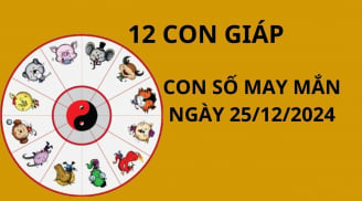 Tử vi ngày 25/12 con số may mắn Thần tài ban lộc, tổ tiên trợ giúp cho 12 con giáp đổi vận giàu sang