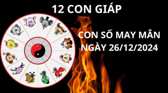 Tử vi ngày 26/12 con số may mắn Thần tài ban lộc cho 12 con giáp phía Đông gặp vàng phía Tây thấy bạc