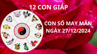 Tử vi ngày 27/12 con số may mắn cho 12 con giáp hưởng lộc tổ tiên vượt khó làm ăn trở nên giàu có
