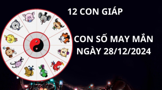 Tử vi ngày 18/12 con số may mắn Thần tài ban lộc cho 12 con giáp đổi đời giàu sang phất lên trông thấy