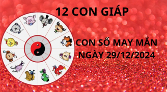 Tử vi ngày 29/12 con số may mắn cho 12 con giáp chủ nhật giàu có vận may vàng bạc đầy tay
