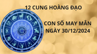 Tử vi ngày 30/12 con số may mắn cho 12 cung hoàng đạo vun vén vàng bạc hết nợ, bước chân vào nhà giàu