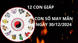 Tử vi ngày 30/12 con số may mắn Thần tài xả lộc cuối tháng cho 12 con giáp, nhanh chân trúng vàng nhặt bạc