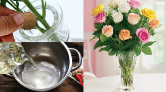 Mẹo cắm hoa tươi lâu, chơi cả tuần vẫn như mới