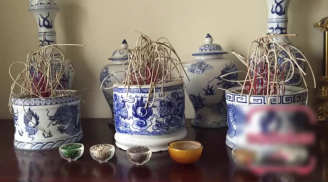 Cách tỉa chân nhang chuẩn, không phạm phong thủy, thu hút tài lộc