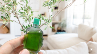 Những công dụng bất ngờ của lọ dầu gió mà nhiều người còn chưa biết