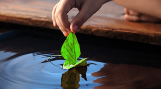 Ở đời, biết buông bỏ những điều này mới là người khôn ngoan