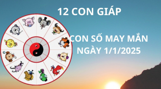 Tử vi ngày 1/1 con số may mắn nhận lộc tổ tiên 12 con giáp hứng cơn mưa vàng tài lộc, nhanh đổi đời