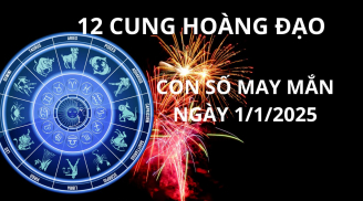 Tử vi ngày 1/1 con số may mắn trời xanh mở bát ban lộc cho 12 cung hoàng đạo đón năm mới giàu có