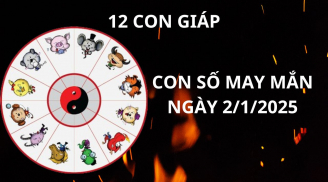 Tử vi ngày 2/1 con số may mắn cho 12 con giáp nhận cơn mưa vàng tài lộc, đón Tết âm lịch rủng rỉnh