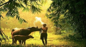 Tuổi trung niên nhiều người đang tự đào hố cho mình mà không biết, đó là những ''hố'' nào?