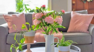 Bàn uống nước để 3 thứ này, bảo sao tài lộc, của cải nhiều mấy cũng trôi đi hết