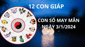 Tử vi ngày 3/1 con số may mắn cho 12 con giáp đi phía đông thấy vàng đi đằng tây thấy bạc