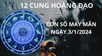 Tử vi ngày 3/1 con số may mắn giúp 12 cung hoàng đạo hứng trọn lộc trời nhận cơn mưa vàng tài lộc
