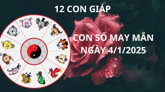 Tử vi ngày 4/1 con số may mắn cho 12 con giáp ăn lộc thần tài hưởng lộc tổ tiên trở nên giàu có