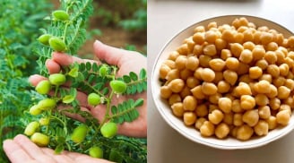 1 loại thực phẩm giá vài xu bán đầy chợ tốt như 'tiên dược': Chống ung thư tái phát, bảo vệ gan toàn diện